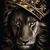 Comodore Davis III's profile image