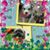Rosemary Dougher's profile image