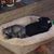 Bert Thurlo-Walsh's profile image