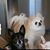Judi Overman Mathisen's profile image