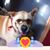 Nancy Gale's profile image