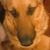 Deb McCue's profile image