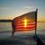 Linda Weber Rogers's profile image