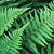 Vickie Anderson Wertz's profile image