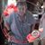 Mary R Palermo's profile image