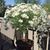 Jan Petrovski MacLeod's profile image