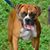 Tami Mullis's profile image