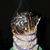 Tynisa S Bobbitt's profile image