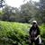 Brycie Helen Dowse's profile image