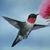 Leeann Smith's profile image
