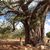 Leif Bjarne Gundersen's profile image