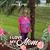 Angela Wilbanks's profile image