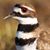 Matt Clayton's profile image