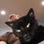Dan Montie's profile image