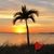 Sally Decowski MacDonald's profile image