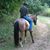 Mark Thorne's profile image