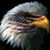 Jeff Moore's profile image