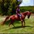 Raafa Ramos's profile image