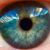 Michael T. Hay-Chapman's profile image