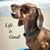 Susan Dollhopf's profile image