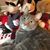 Tammy Clements Royer's profile image