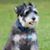 Betty Czarapata's profile image