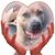Bill Murphy's profile image