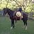 Jeanette Gutierrez Chagolla's profile image