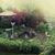 Elizabeth Baxley's profile image
