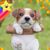 Maria Perez's profile image