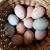 Christopher Owensby's profile image