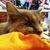 Denise Lochner's profile image