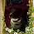 Terrie De Carlo's profile image