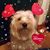 Tammy Hart's profile image