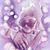 Gaurav Kant's profile image