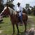 Al Sheriff's profile image
