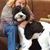 Kathy Sprinkle's profile image