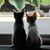 Christine Harmelink's profile image