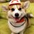 Katherine Torbett's profile image