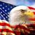 Bob Gable's profile image