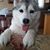 Judie Kemper Russell's profile image