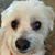 Snoopy CK's profile image