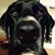 Nick Campbell's profile image