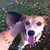 Codi Messick's profile image