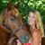 Susan Martens's profile image