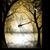 Paula Gervais's profile image