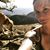 Shelby Green's profile image