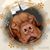 Jennifer Slusser's profile image