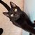 Kimberly Marin's profile image