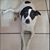 Jeri Lyn Rodriguez's profile image